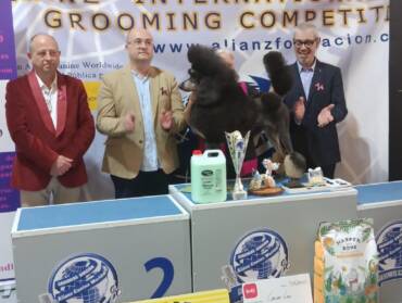 Éxito Rotundo en el III Campeonato de Peluquería Canina El Rincón de Marepopito