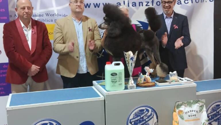 Éxito Rotundo en el III Campeonato de Peluquería Canina El Rincón de Marepopito